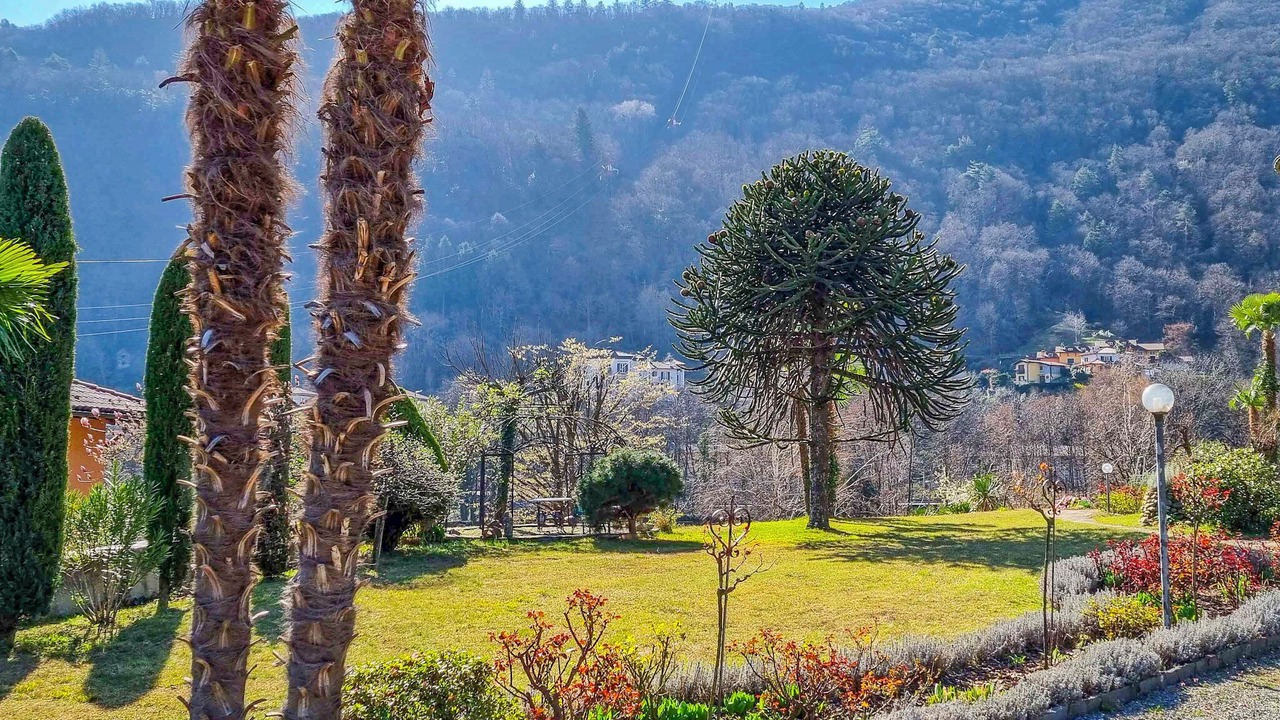 Photo of Outdoor in Cannobio