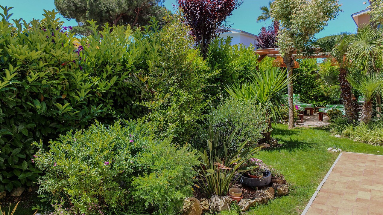 Photo of Outdoor in Latina Lido