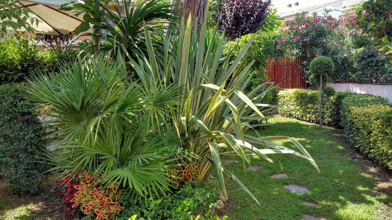 Photo of Outdoor in Latina Lido