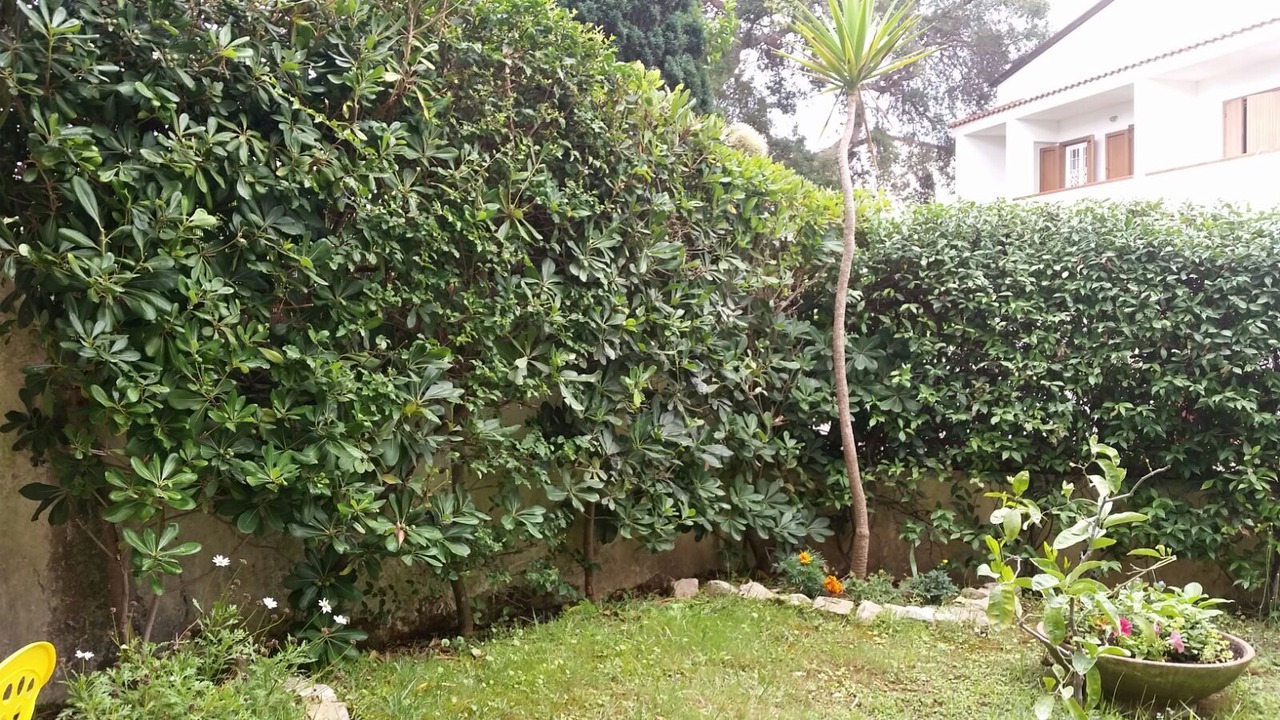 Photo of Outdoor in Sabaudia