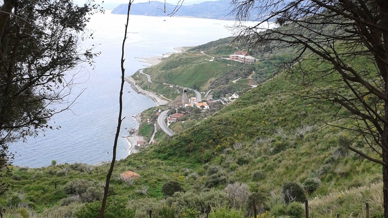 Photo of Outdoor in Gioiosa Marea