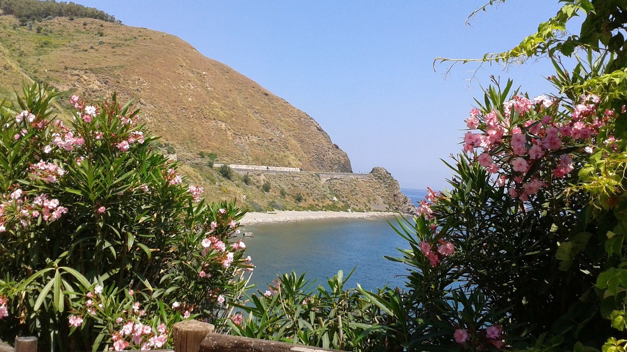 Photo of Outdoor in Gioiosa Marea