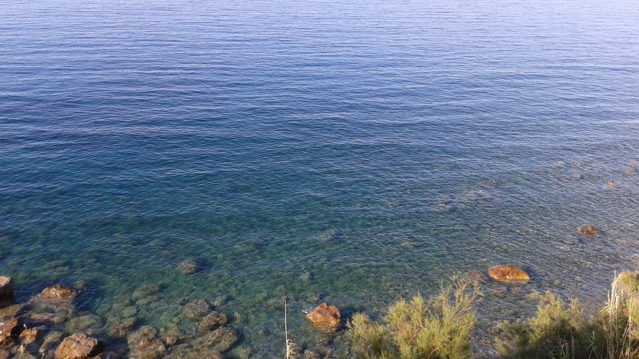 Photo of Others in Gioiosa Marea