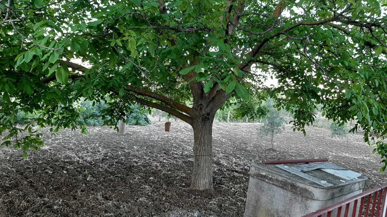Photo of Outdoor in Cianciana