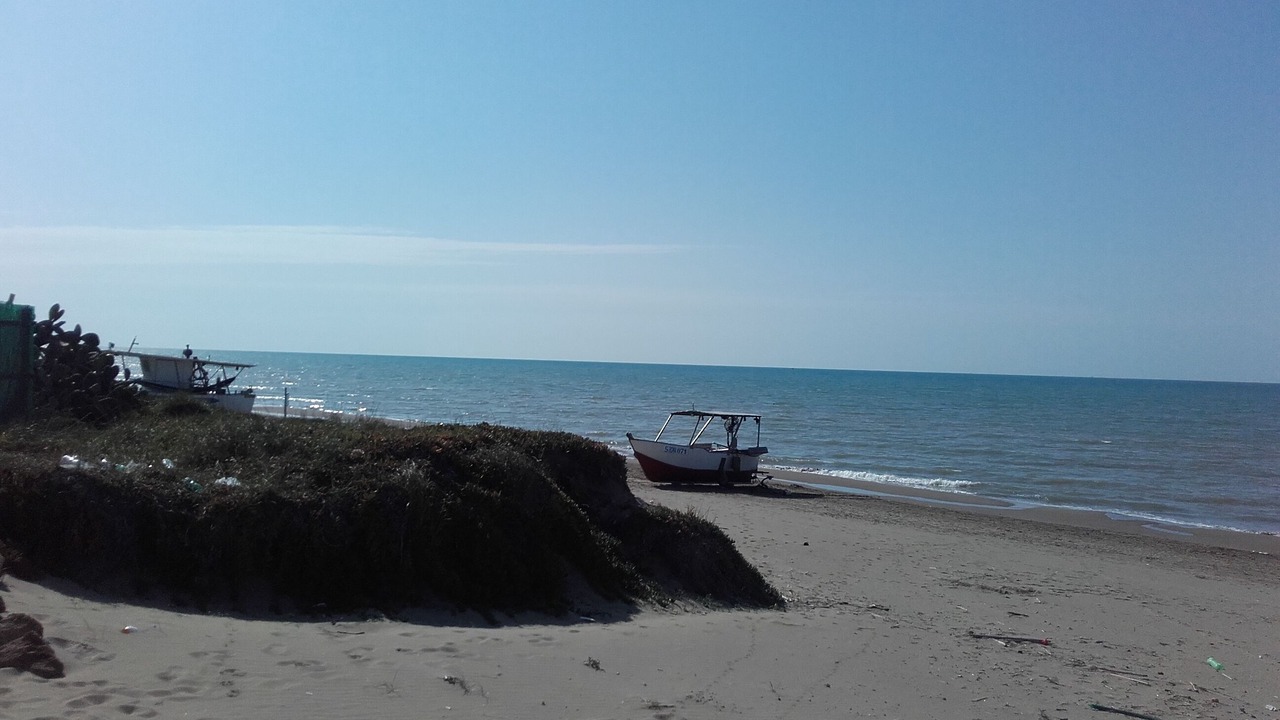 Photo of Others in Ardea