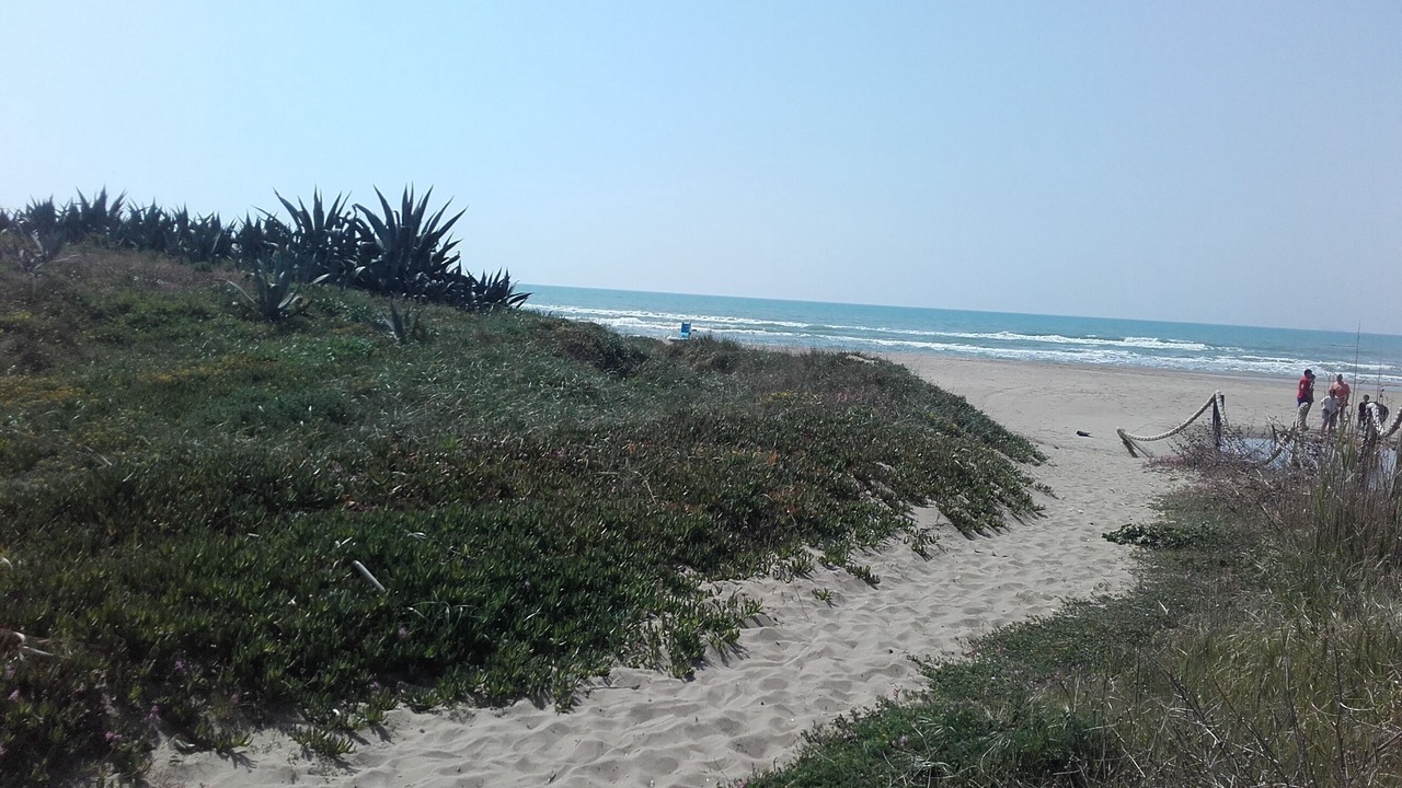 Photo of Others in Ardea