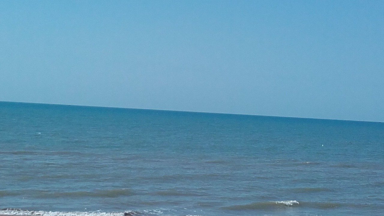 Photo of Others in Ardea
