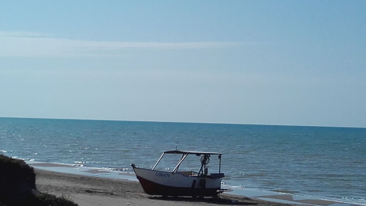 Photo of Others in Ardea