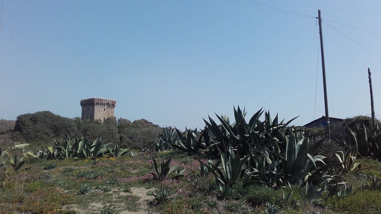 Photo of Outdoor in Ardea