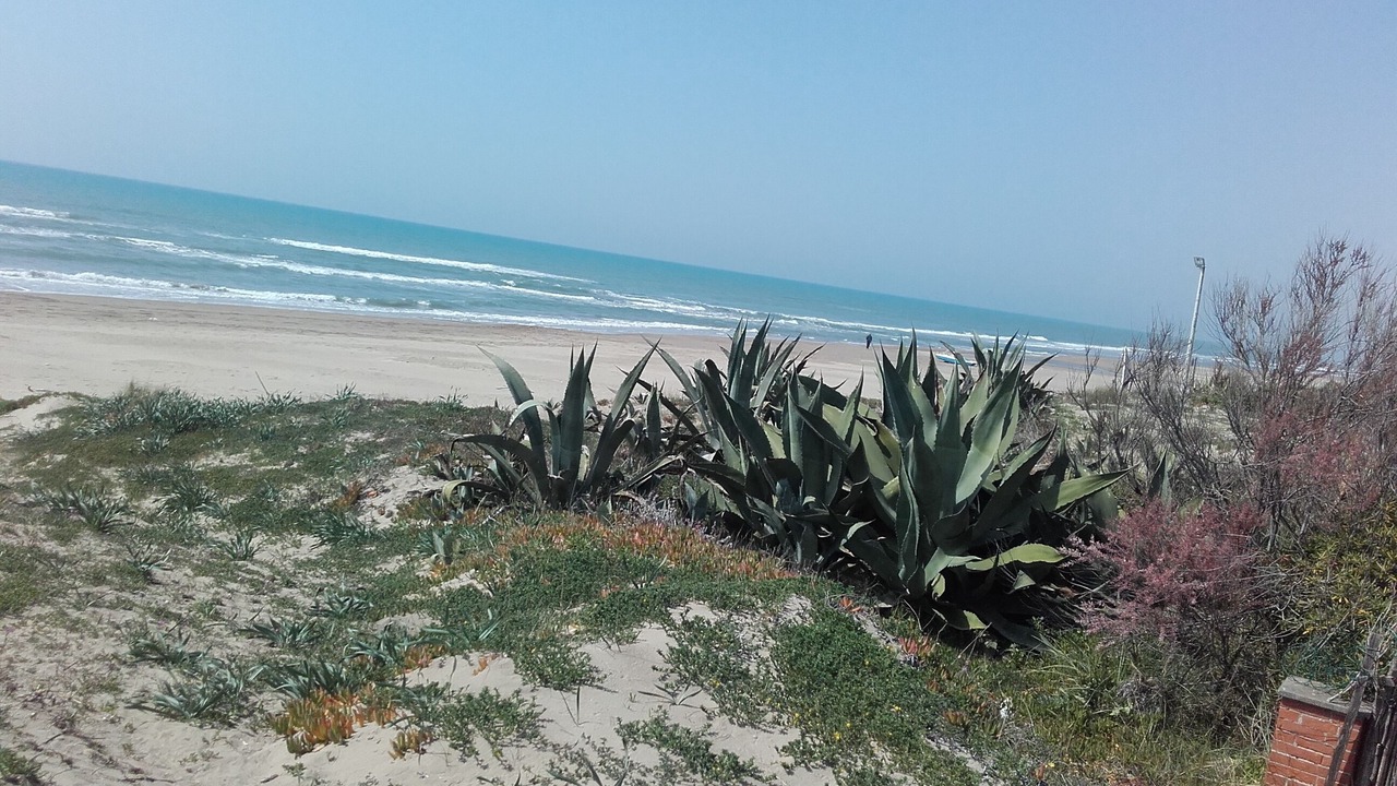 Photo of Others in Ardea