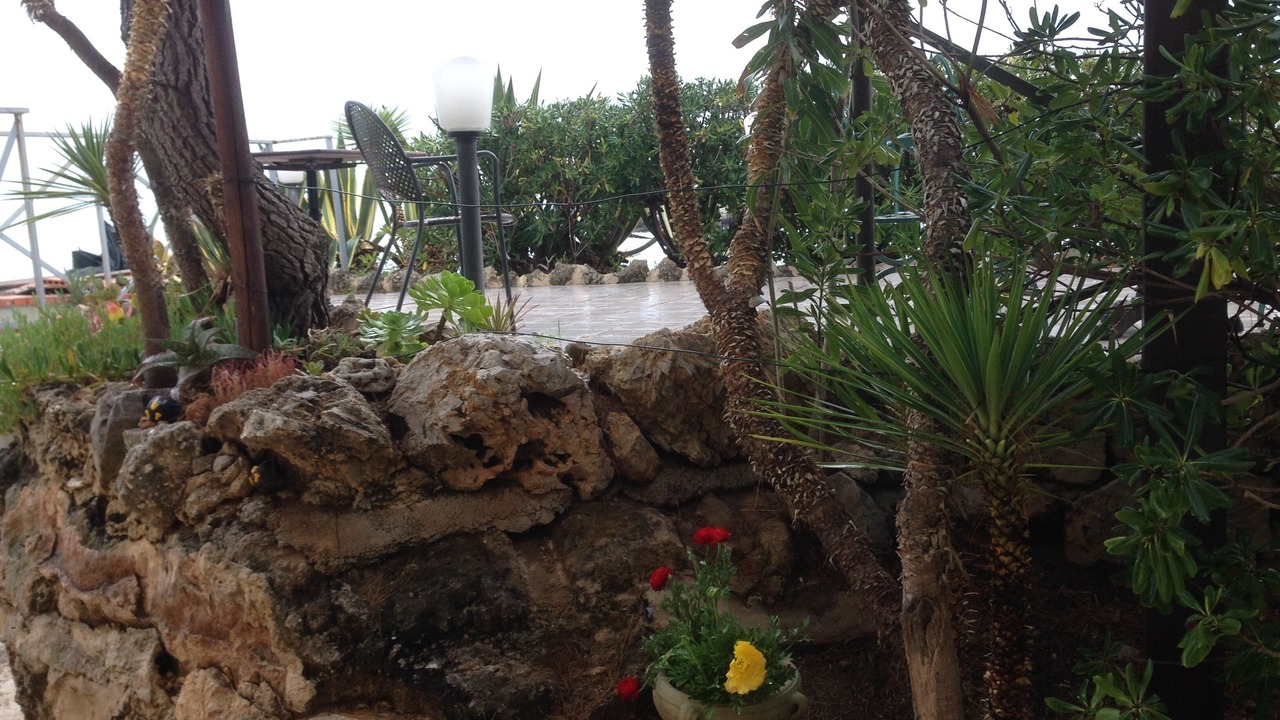 Photo of Outdoor in Carini