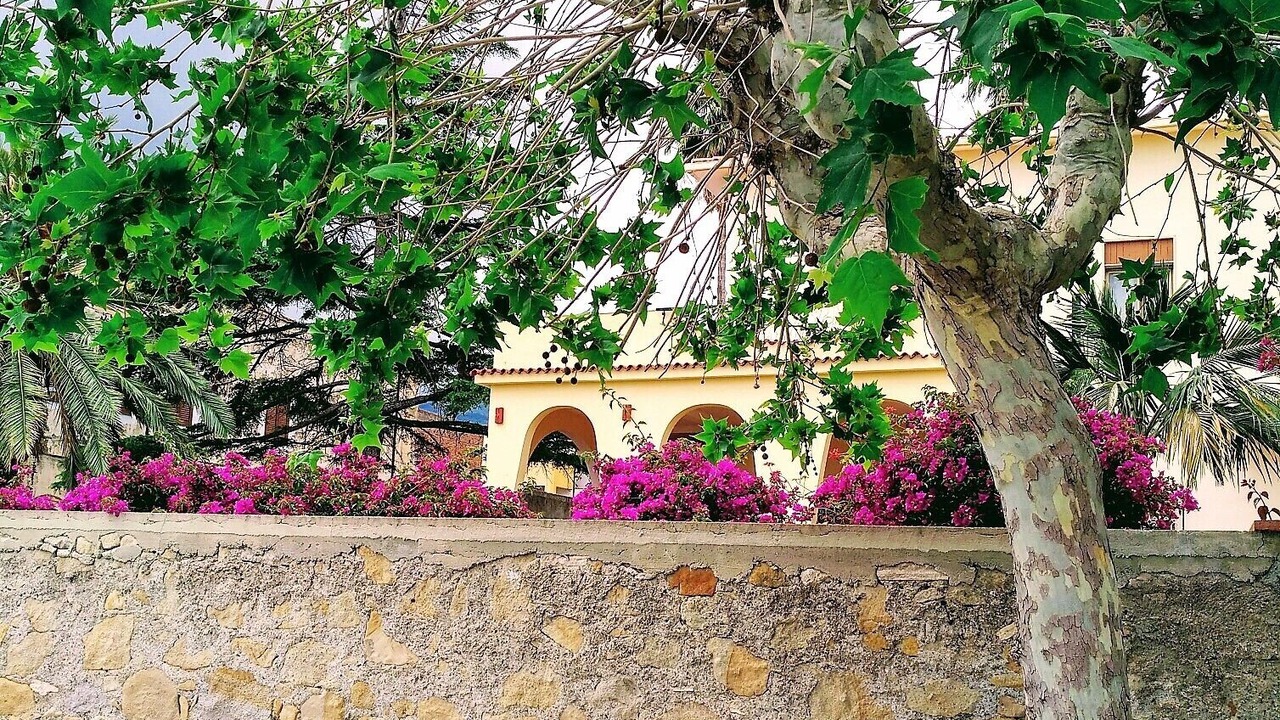 Photo of Outdoor in Patti
