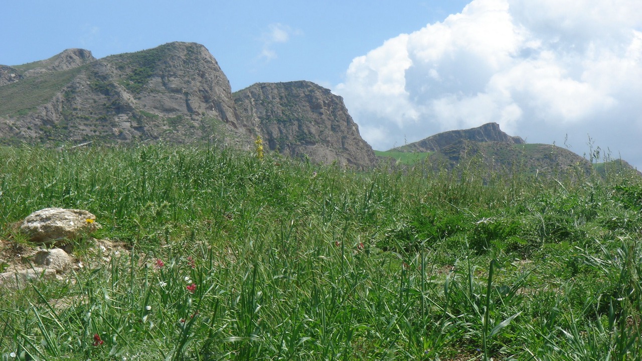 Photo of Outdoor in Ciminna