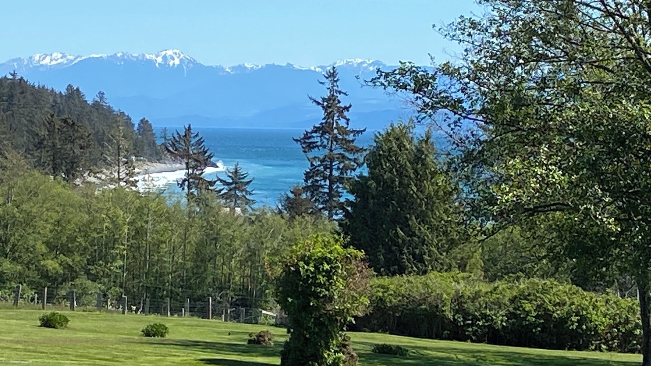 Photo of Others in Otter Point