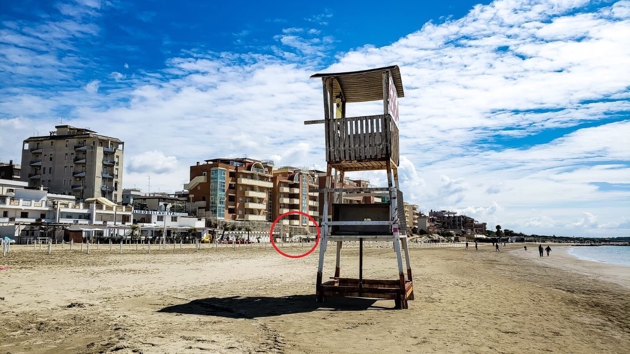 Photo of Others in Nettuno