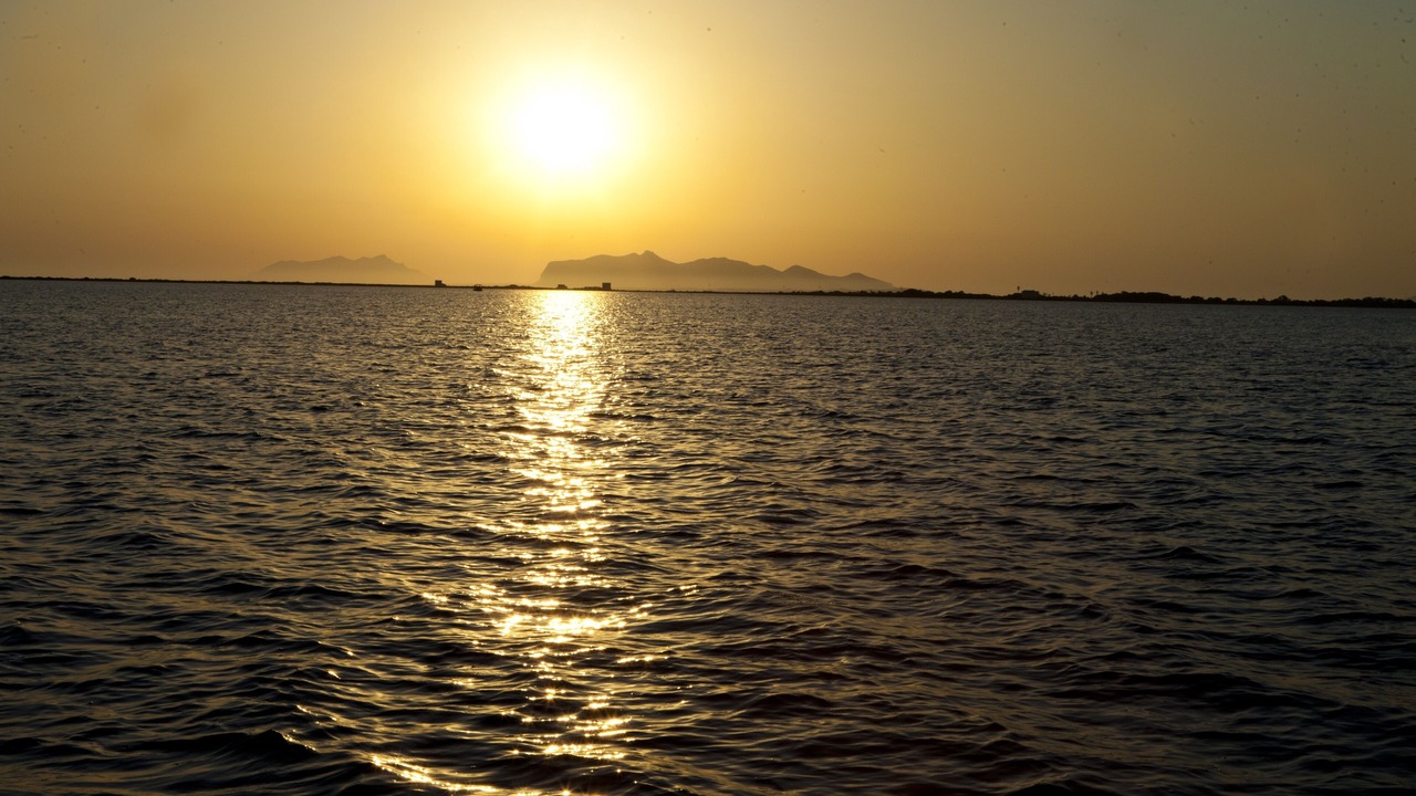 Photo of Others in Marsala
