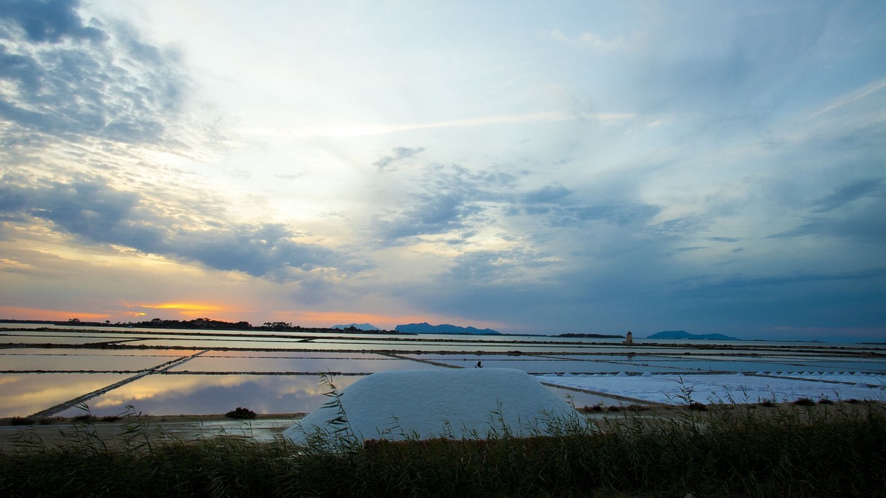 Photo of Others in Marsala