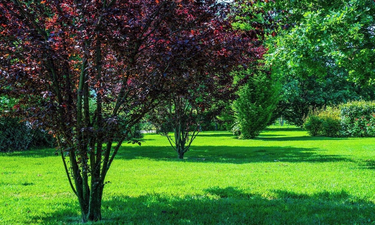 Photo of Outdoor in Scandiano