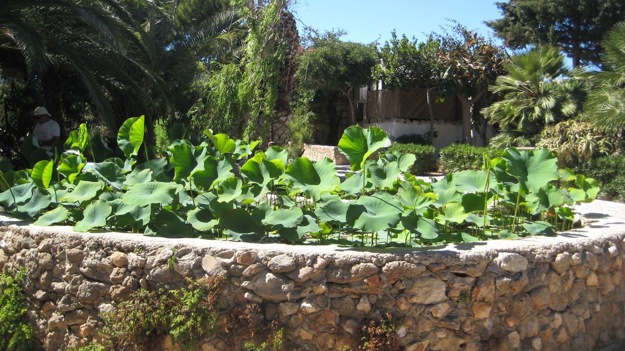 Photo of Outdoor in Favignana