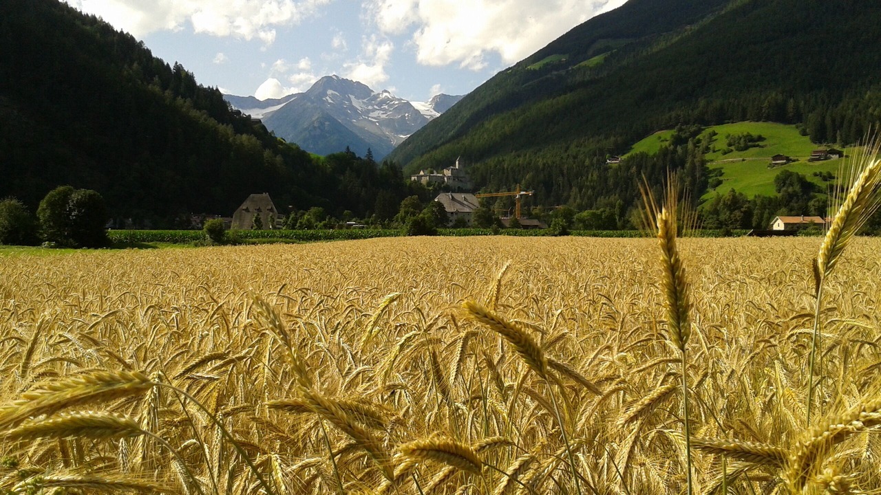 Photo of Outdoor in Sand in Taufers
