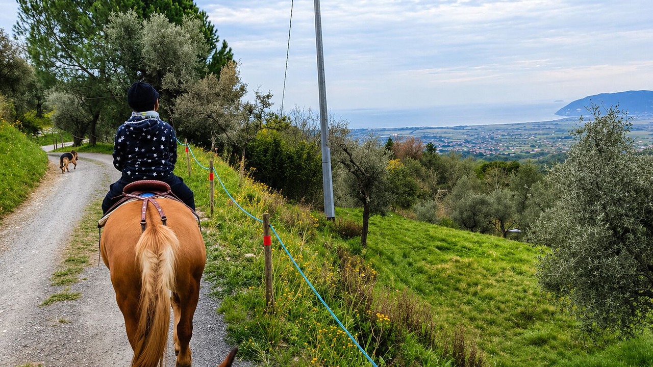 Photo of Others in Castelnuovo Magra