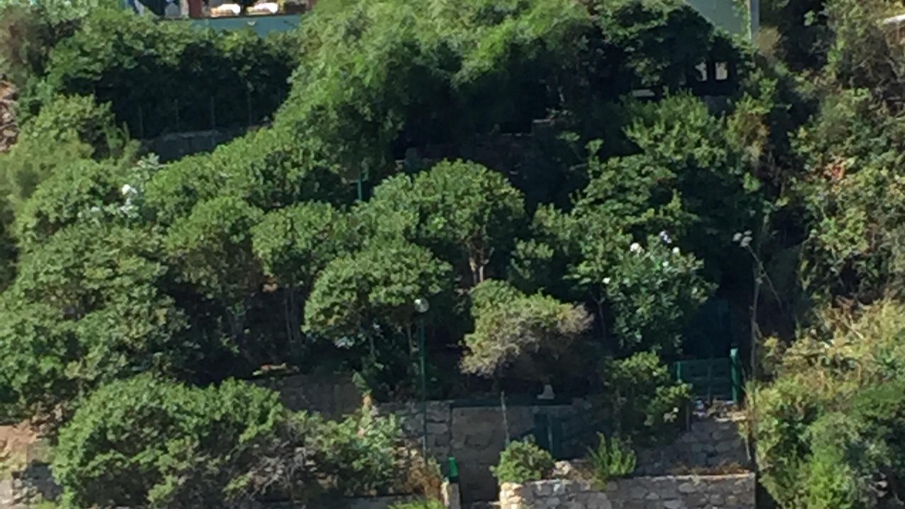 Photo of Outdoor in Cefalu