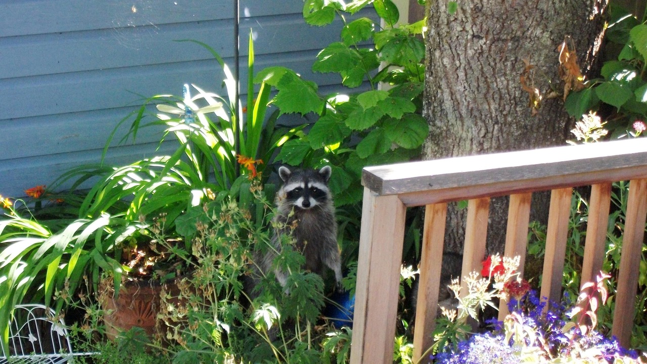 Photo of Others in Gorge -Tillicum Area