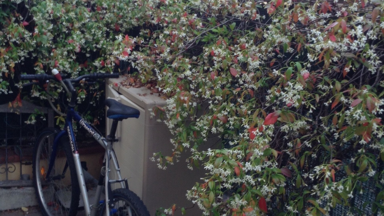 Photo of Outdoor in Ferrara