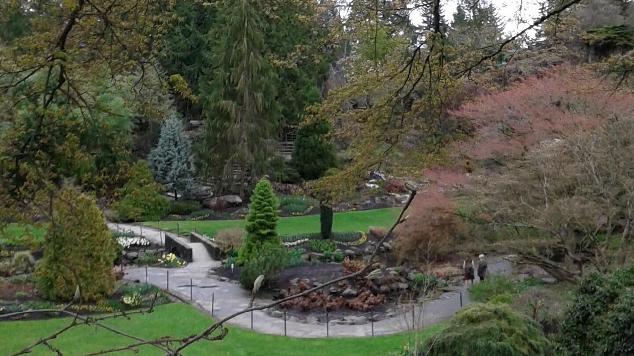 Photo of Others in Riley Park-Little Mountain