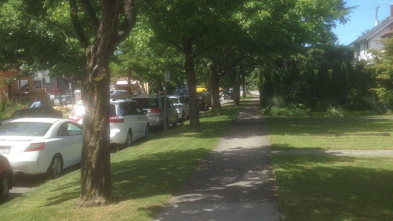 Photo of Others in Riley Park-Little Mountain