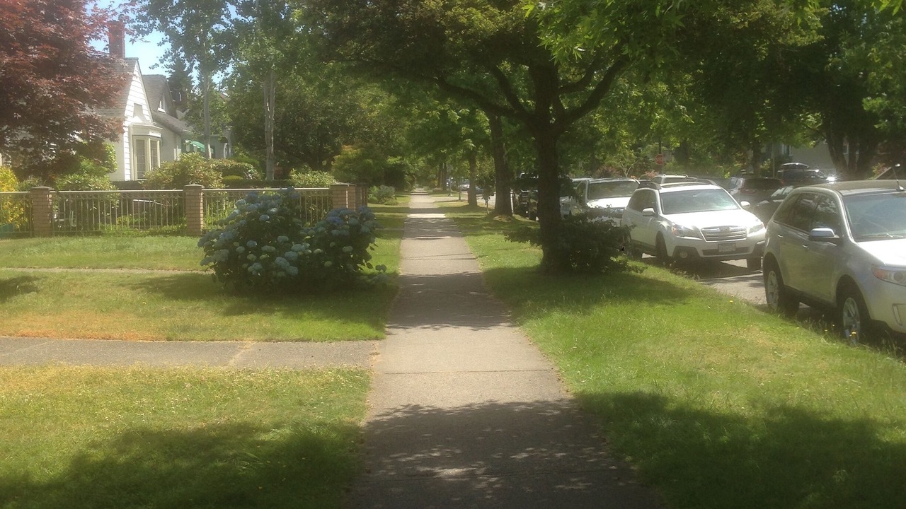 Photo of Others in Riley Park-Little Mountain