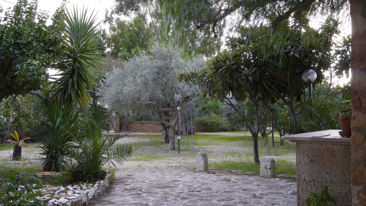 Photo of Outdoor in Castelvetrano