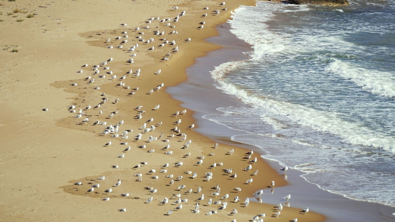 Photo of Others in Castelvetrano
