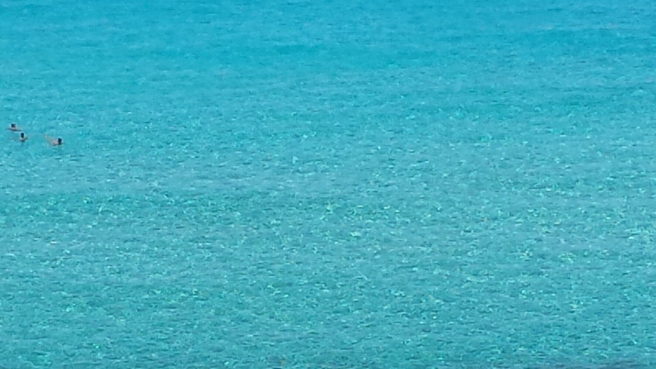 Photo of Others in Favignana