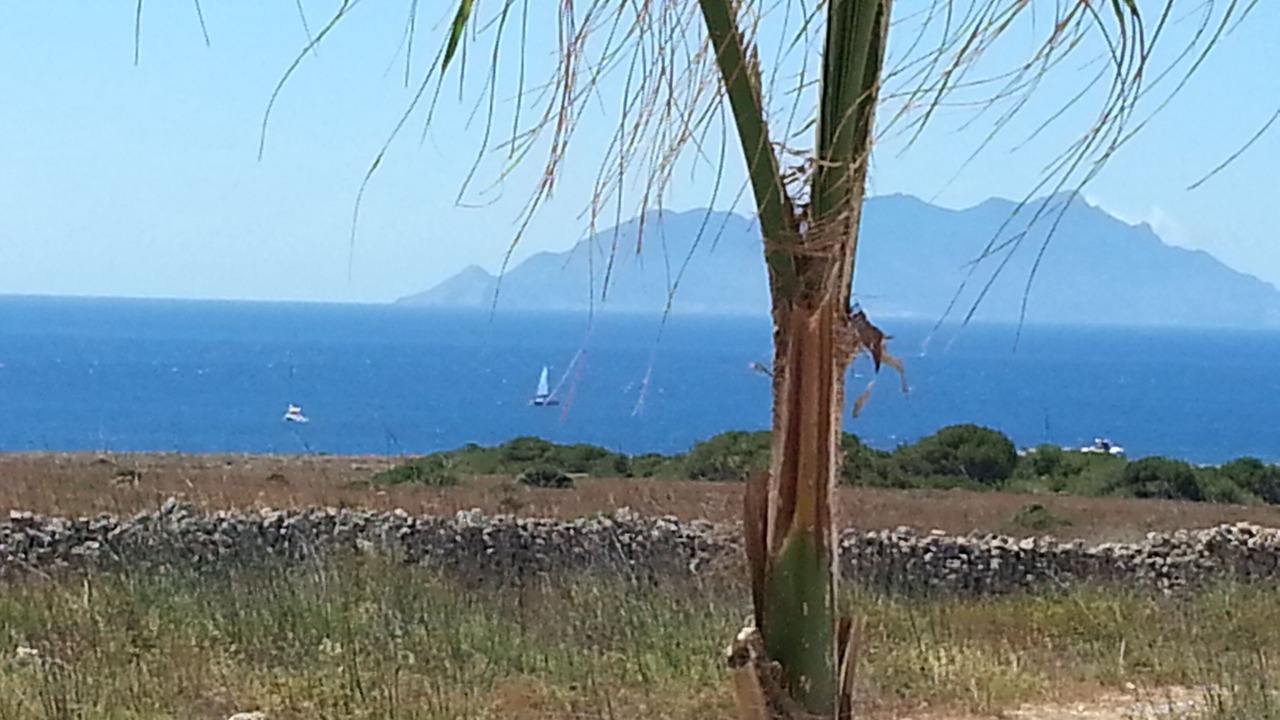 Photo of Others in Favignana