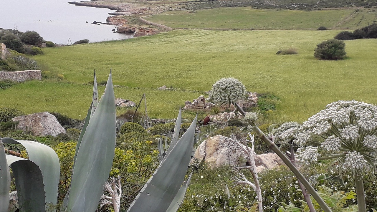 Photo of Outdoor in Favignana