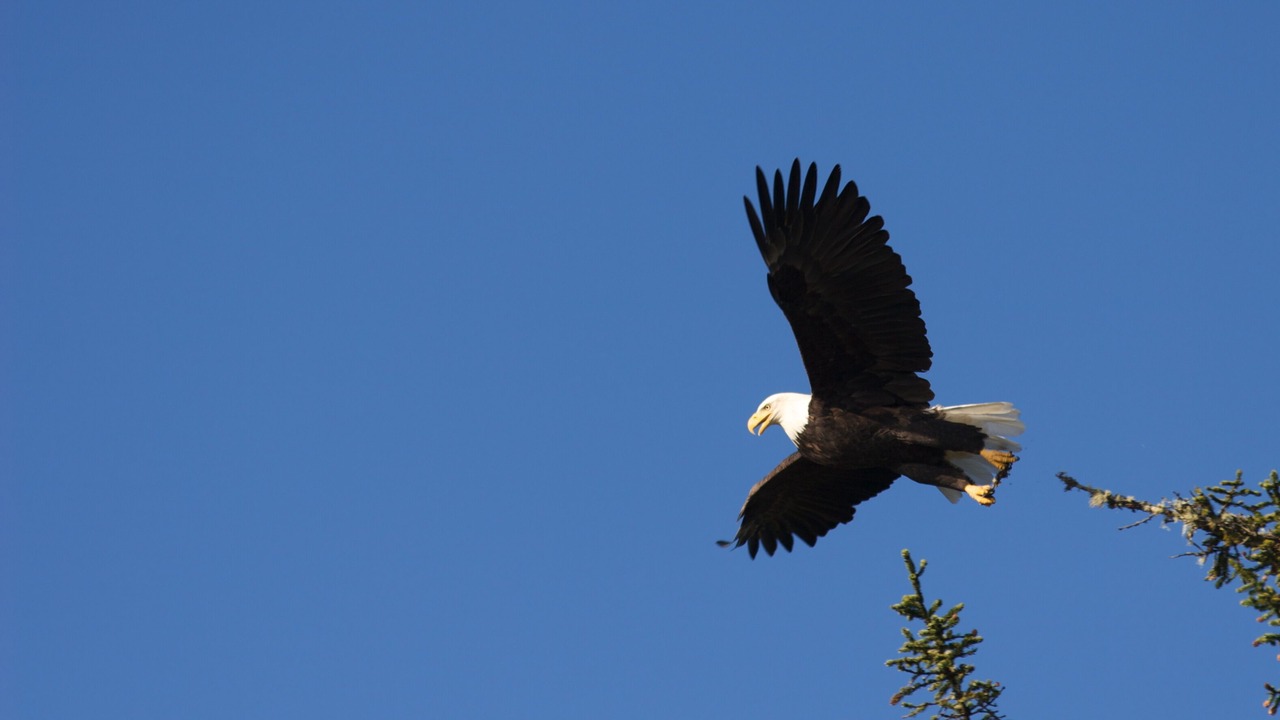 Photo of Others in Tofino