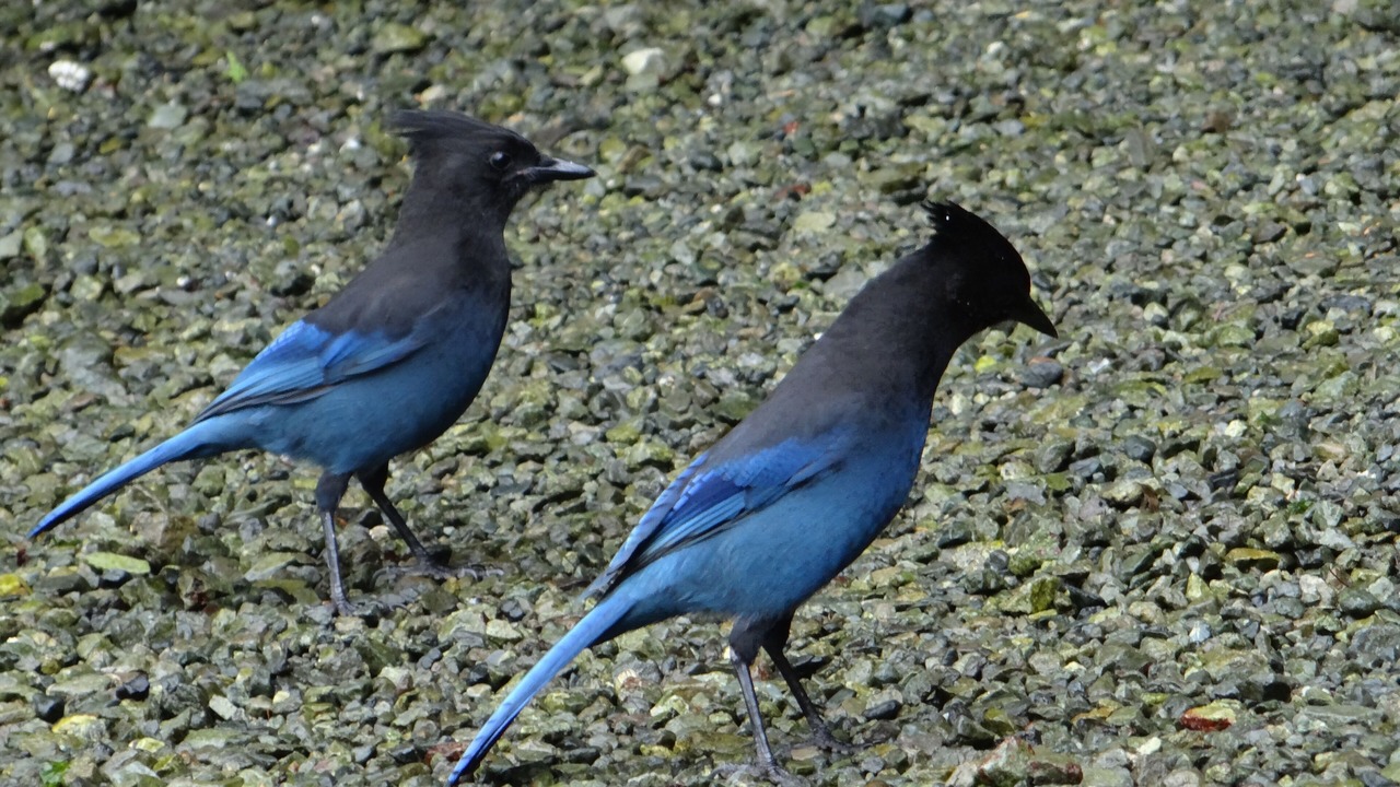 Photo of Others in Tofino