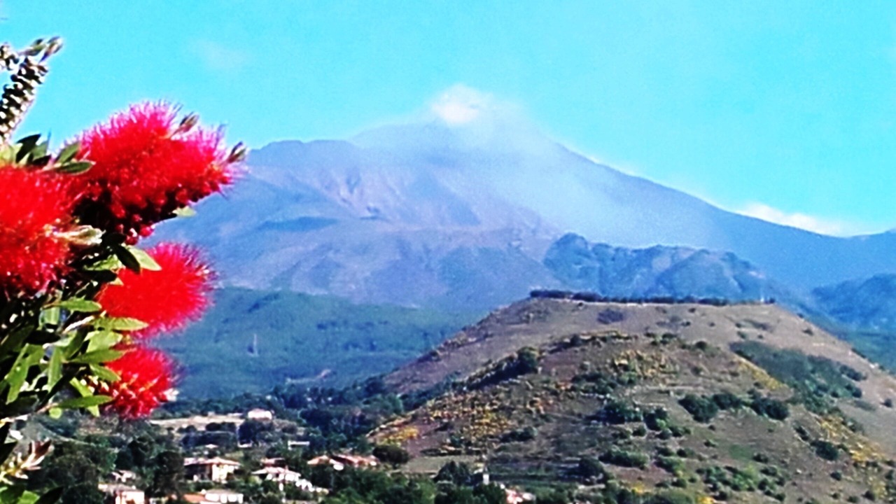 Photo of Outdoor in Viagrande