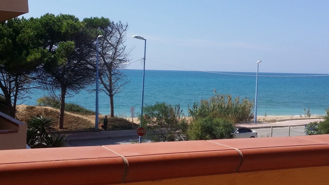 Photo of Outdoor in Dune