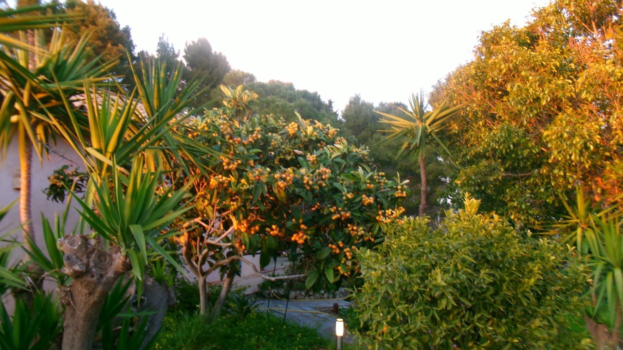 Photo of Outdoor in Licata