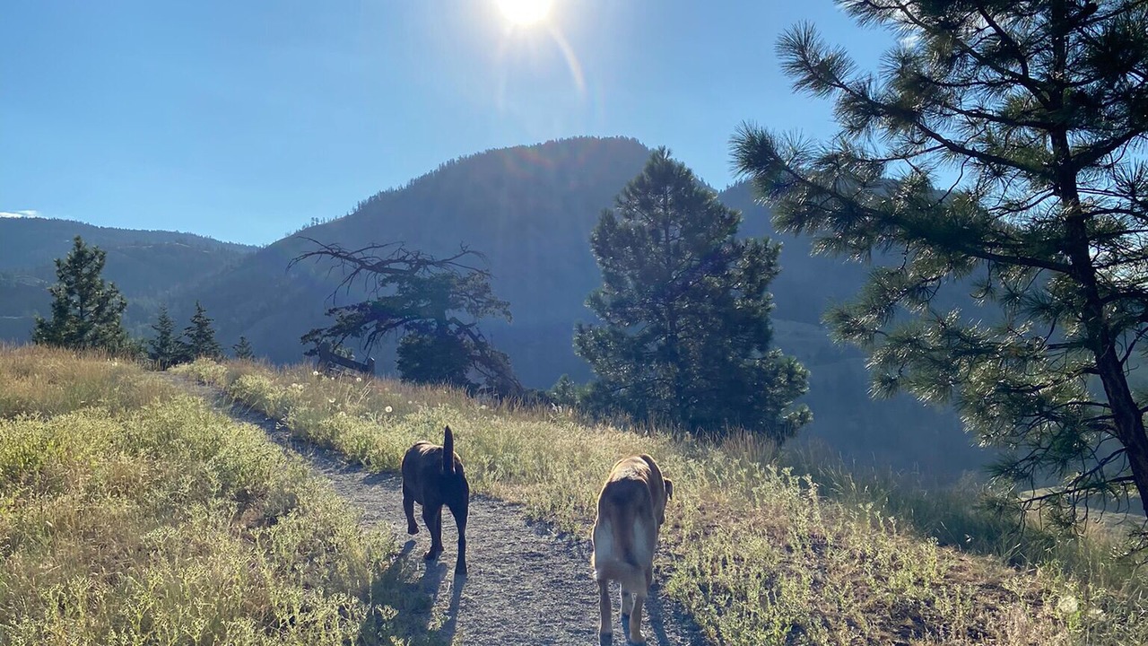 Photo of Others in Black Mountain