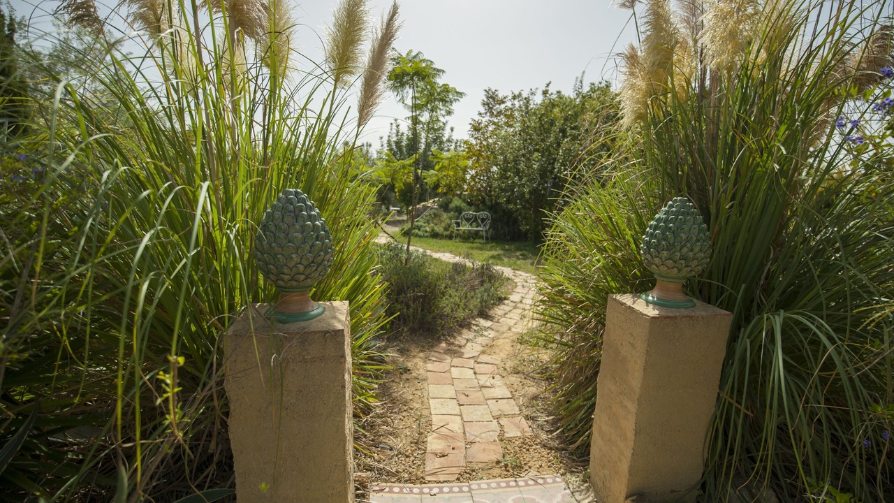 Photo of Outdoor in Pietraperzia