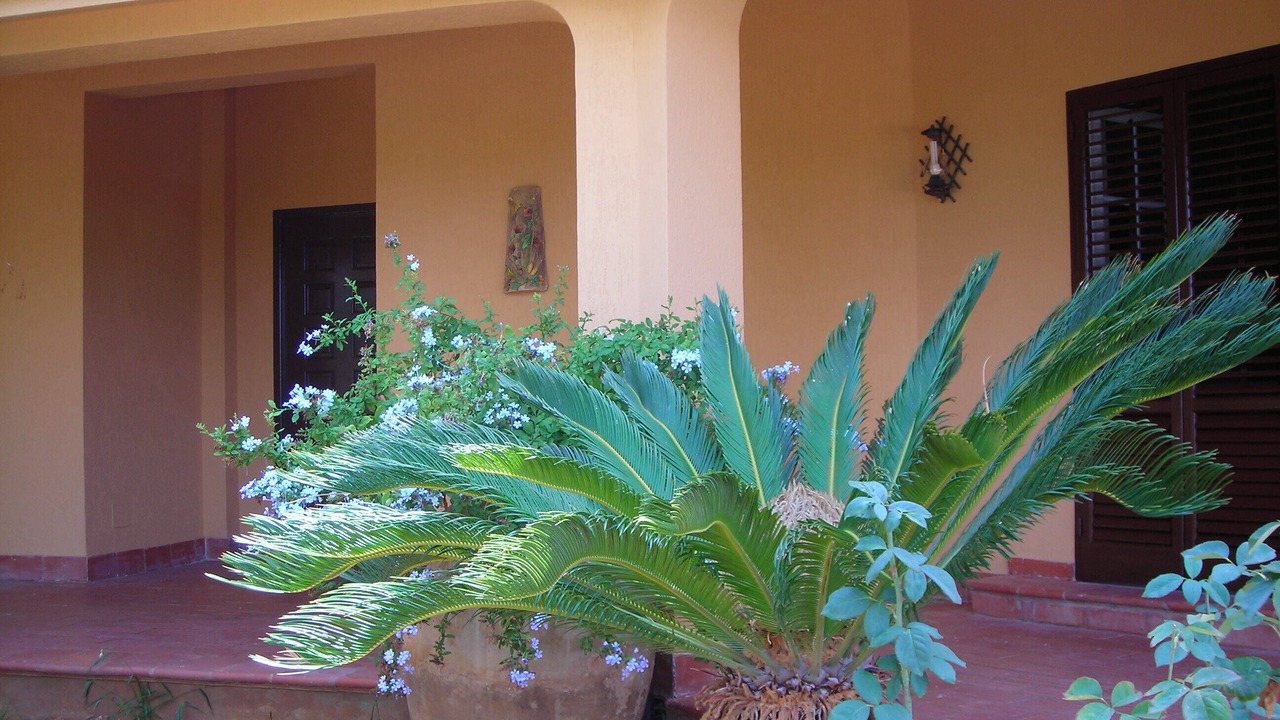 Photo of Outdoor in Trappeto
