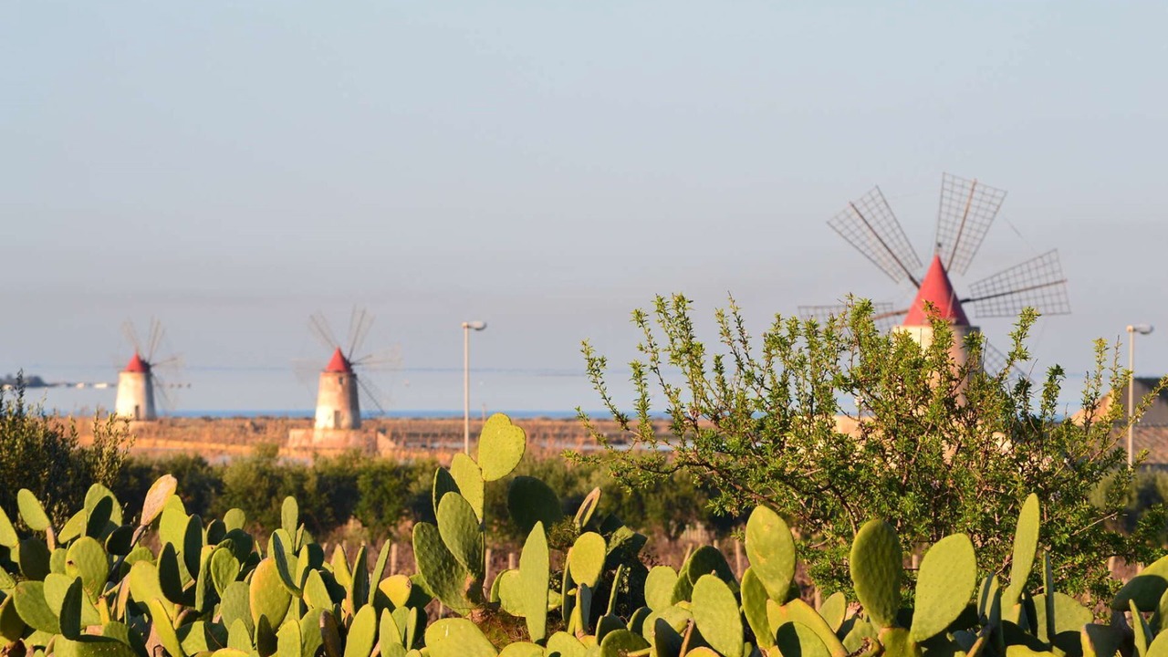 Photo of Others in Marsala