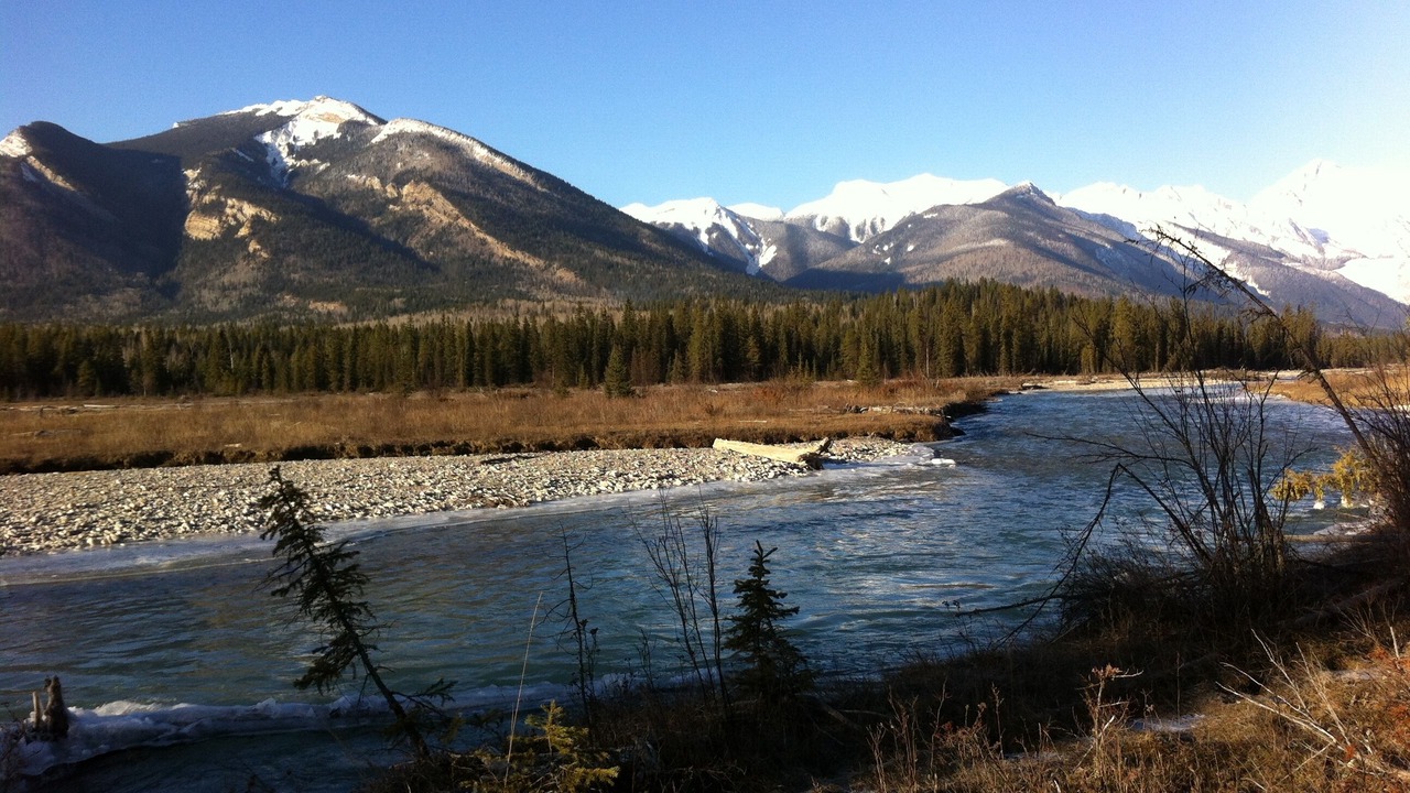 Photo of Others in Blaeberry