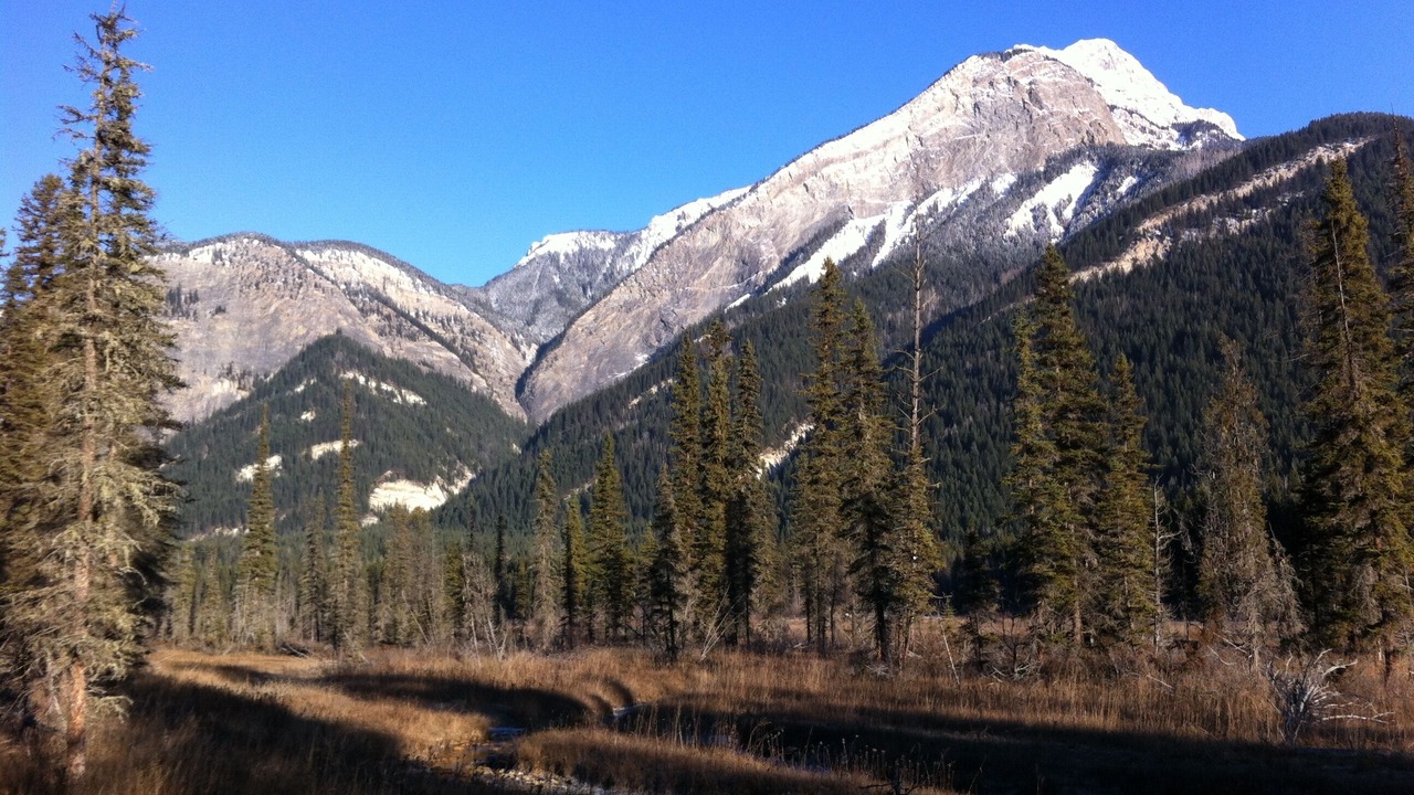 Photo of Outdoor in Blaeberry