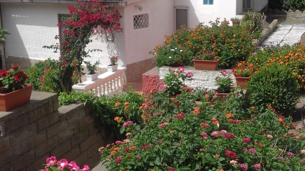 Photo of Outdoor in Ventotene
