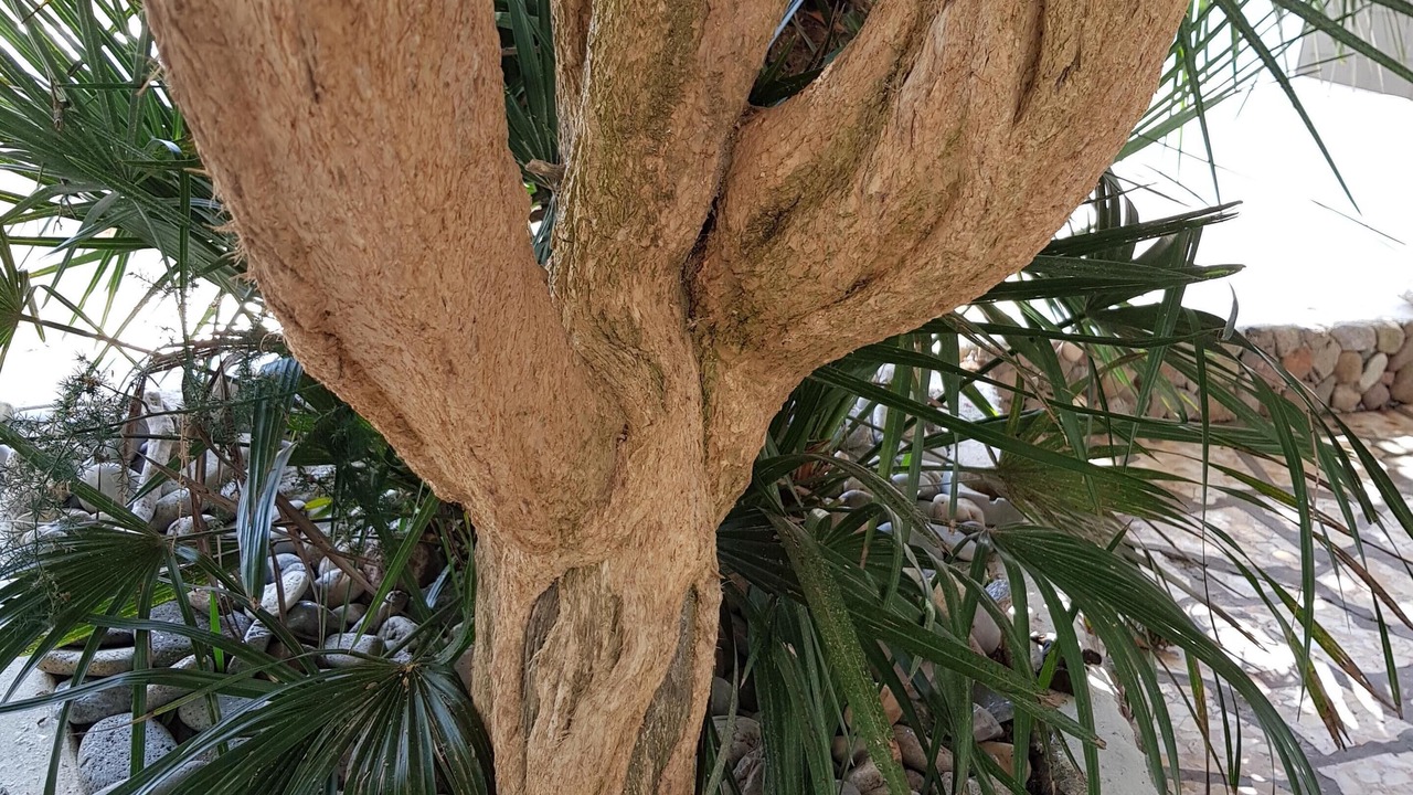 Photo of Outdoor in Le Forna