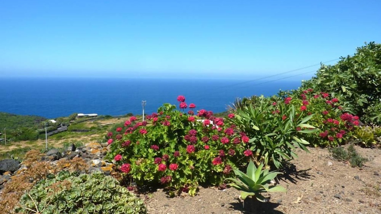 Photo of Outdoor in Pantelleria